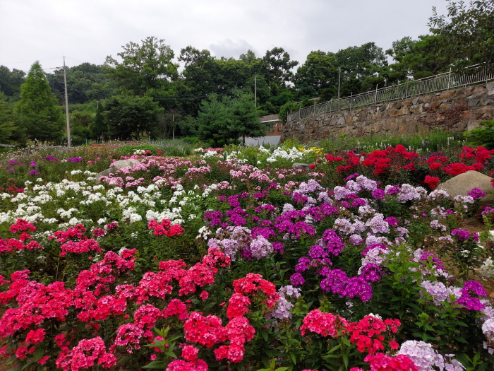 김포 금쌀공원